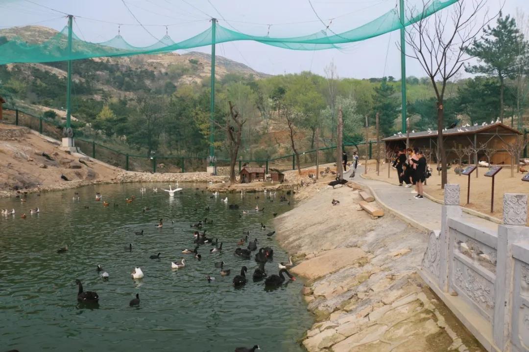 方城德云山风情植物园送福利动物园和百鸟园免费进多项游乐项目免费玩