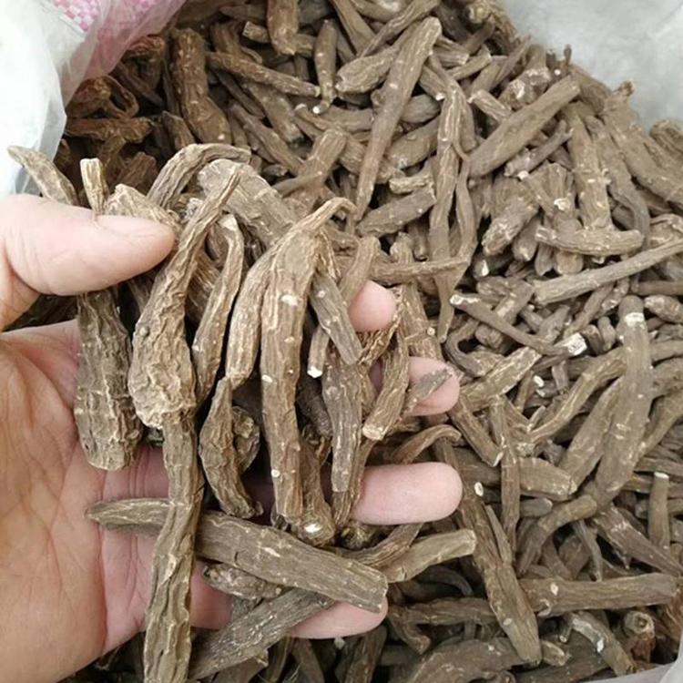 千金藤别名_植物形态_药材性状_功能与主治-艾草之乡