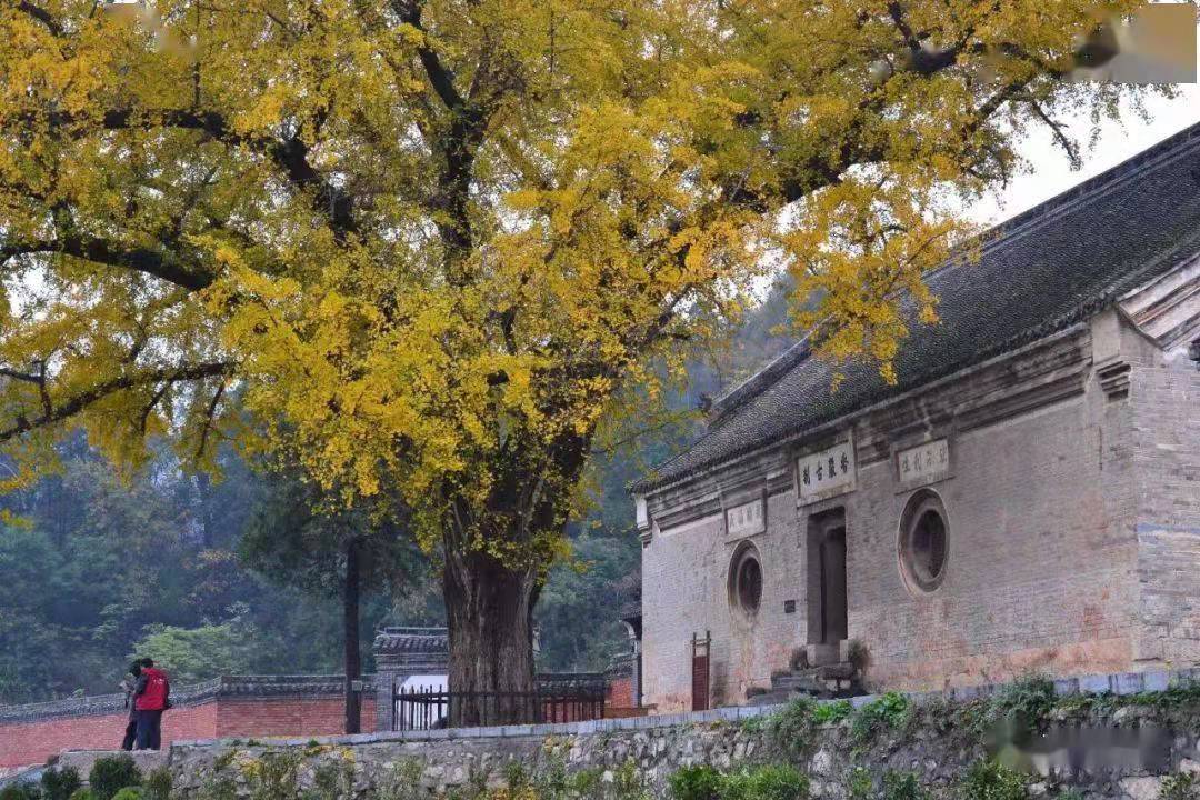 走进南阳磨沟村畅游绿水青山体味红色文化